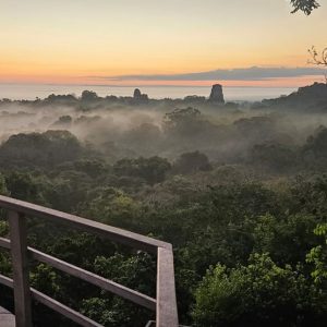 Tikal al Amanecer + Tour Arqueológico Servicio Exclusivo Privado