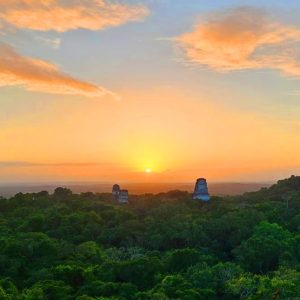 Tour Tikal Arqueológico + Atardecer Servicio Exclusivo Privado