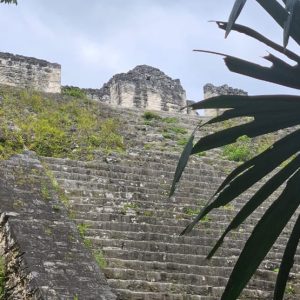 Excursión Privada de Yaxha Exclusiva